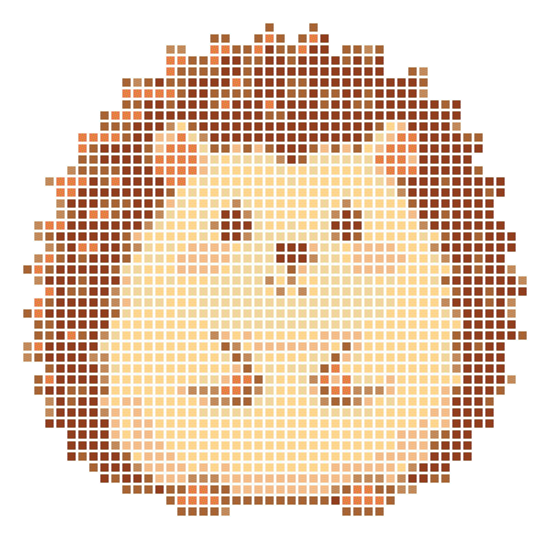 A cute, chubby cartoon hedgehog illustration