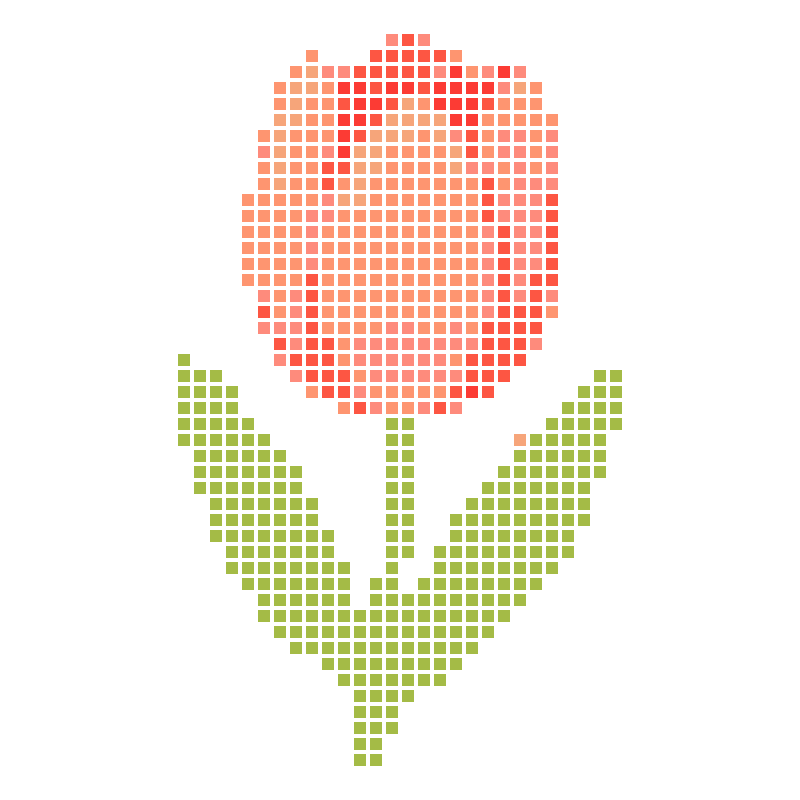 Fresh and cute pink tulip hand-drawn illustration